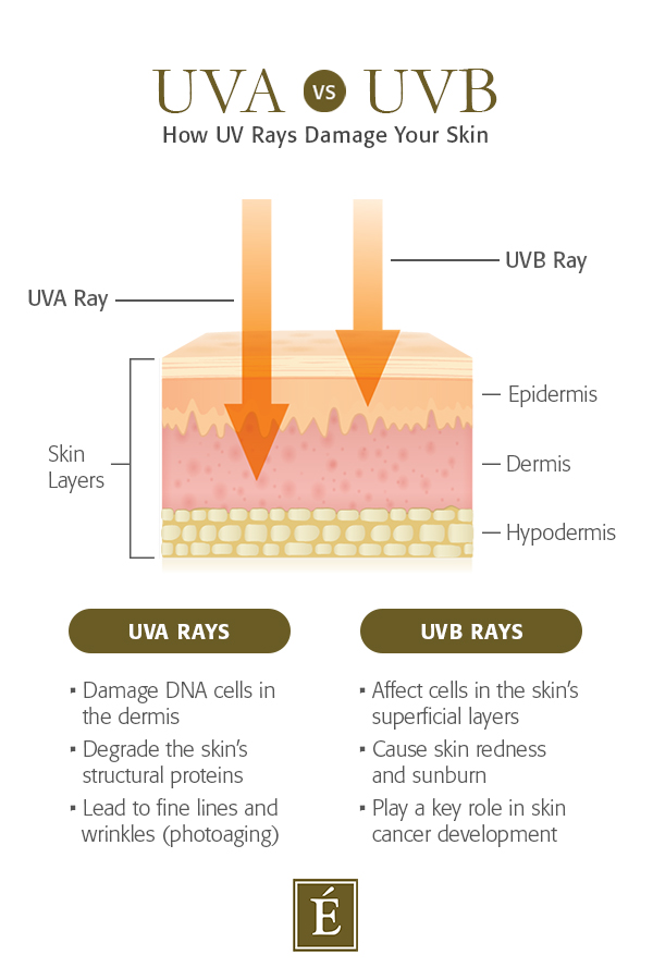 UVA Vs UVB Rays Infographic